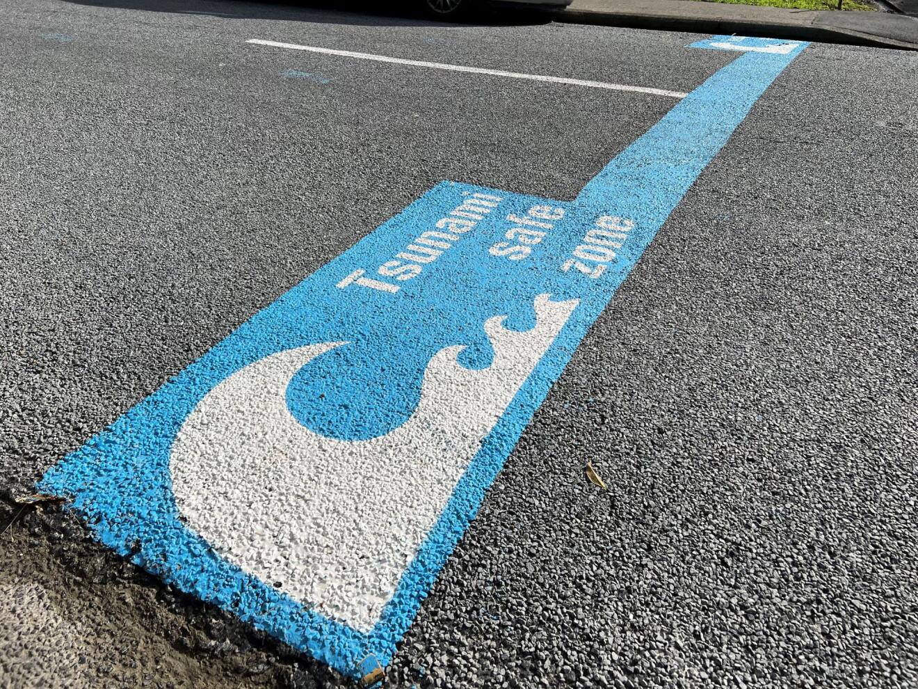 Tsunami safe zone markings painted on a Wellington street