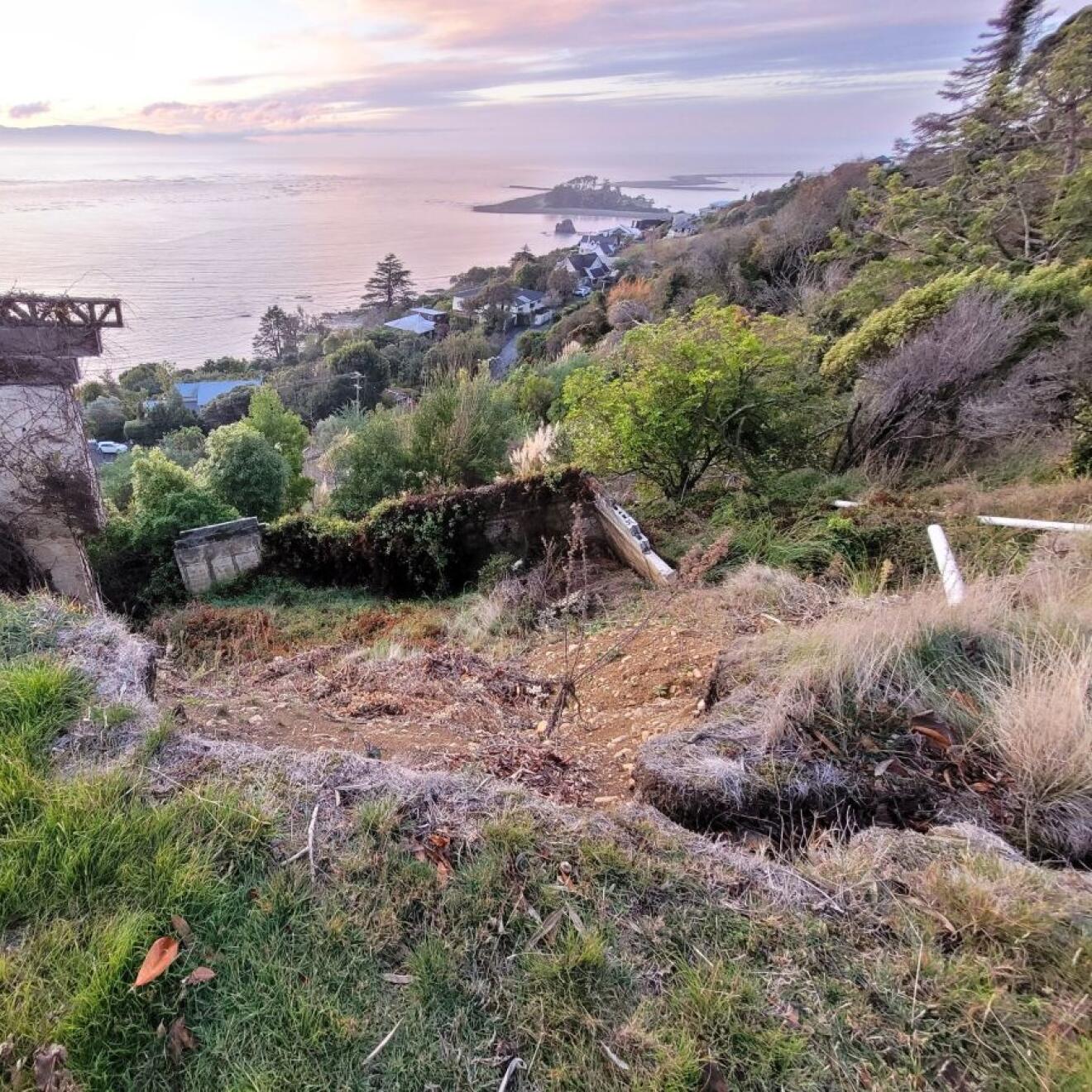  Landslide damage on a steep hillside in Nelson, New Zealand