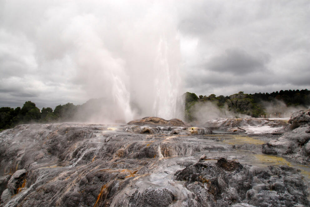 Pohutu Geyser erupting in the Whakarewarewa Thermal Valley in Rotorua